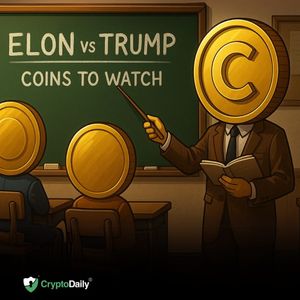 Top Crypto Picks as Normalcy Returns Following the Trump and Musk Social Media War