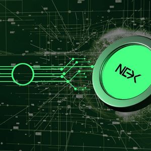 3 Picks for the Best Crypto Presale to Invest in a Competitive Market: Nexchain, Mind of PEPE & BTC Bull