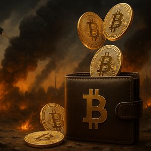 Best Crypto to Invest In As Whale Wallets Buy The World War III Fear