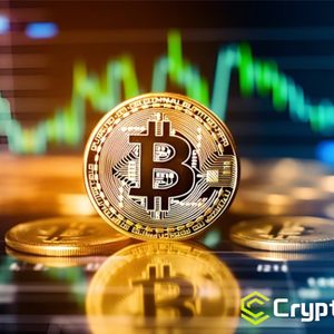 In-depth Review of the 7 Most Reliable Cloud Mining Platforms in 2025: A Complete Comparison of Free Bitcoin & Dogecoin Mining Returns