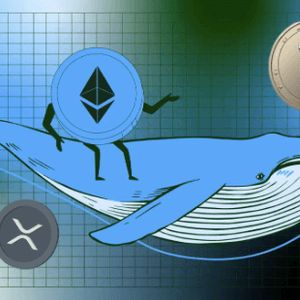 Ethereum Whales Next Moves? Hunting for Next Big Opportunity While Cardano & XRP Slips Lower