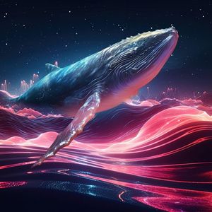 Betting on the Next ETH & SOL: Bold Digitap’s Growth Forecasts Capture Whale Interest – Can It Break Into the Top 50?