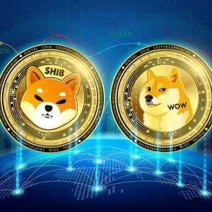 DOGE and SHIB Could Rally to Big Heights – but Digitap's Real-World Utility May Outshine Them Both
