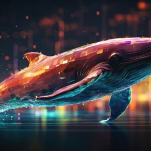 According to On-Chain Data: The 3 Best Altcoins to Buy Now Based on Whale Activity