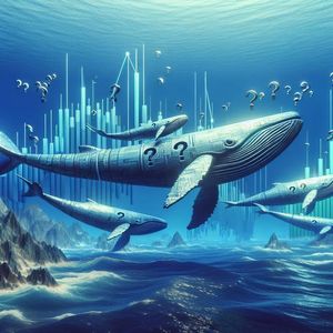 SOL Whale Buys $27M Dip as Oversold RSI Signals Bullish Reversal