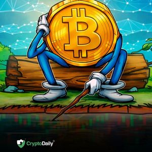 Alert: Bitcoin Sinks Below $75K Amid Gold Correction – Safe-Haven Shakeout or Buying Opportunity This Week?