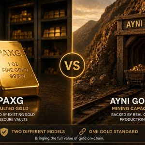 Pax Gold vs Ayni Gold: The Difference Between Holding Gold and Earning Gold-Backed DeFi Yield