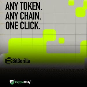 BitGorilla Launches Cross-Chain Execution Platform to Close the Swap Quality Gap