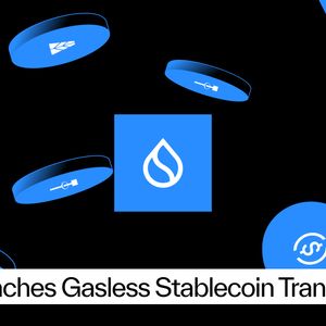 Sui Launches Gasless Stablecoin Transfers With Support From Fireblocks