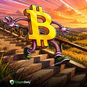Bitcoin Continues Steady Decline: Is a Crash on the Horizon?