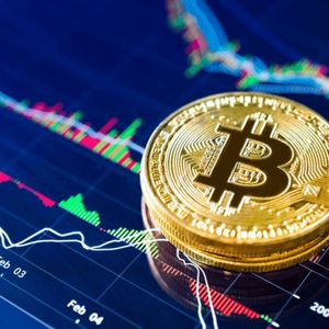 Bitcoin Price Prediction: As SpaceX IPO Makes History, MemeToro Gains Momentum