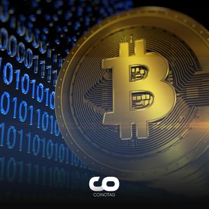 Will Bitcoin Price Continue to Rise Today?