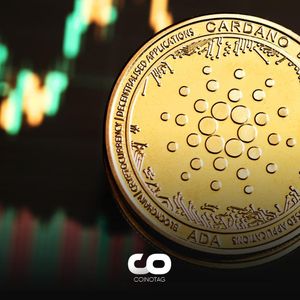 Cardano (ADA) Price Prediction: Whales Await These Levels for Buying!