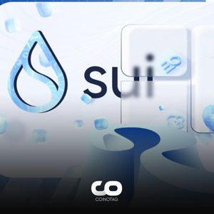 Staking Rewards for Popular Altcoin SUI Allegedly Sold on Binance: Details Revealed!