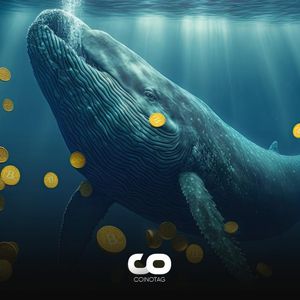 Bitcoin Whales Continue to Buy: Will the Rally Continue in July?