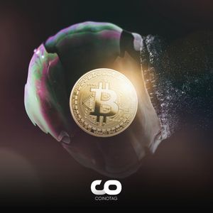 Bitcoin Shrimps Accumulating BTC: Is This a Bull Run Signal?