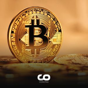 Profits in Bitcoin Reach the Highest Level in 14 Months!