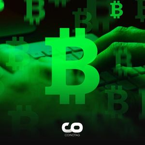 Profit Supply in Bitcoin is Increasing: What Does This Mean?