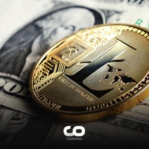 Will Litecoin Continue to Rise? On-chain Data Indicates Bullish Signals!