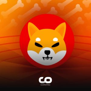 Increase in Shiba Inu (SHIB) Activities: Will this Trigger a Bullish Rally?