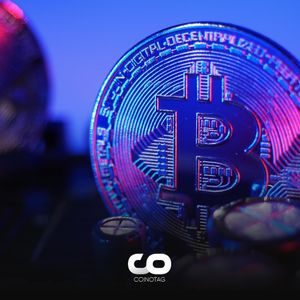 Stunning Data Revealed for Binance, Coinbase and Gemini Staff!
