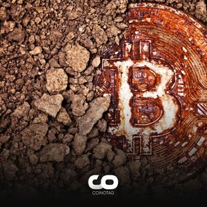 Can Bitcoin Halving Provide a Sustainable Equation for Miners and Network Security?
