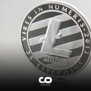 Litecoin Becomes the Most Used Asset for Payments, Overtaking Bitcoin!