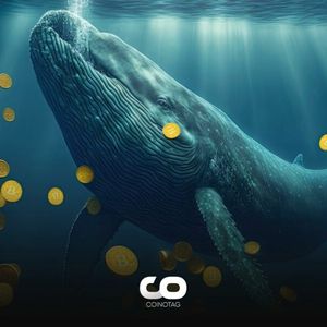 Bitcoin Whales Accumulate Thousands of BTC in 3 Weeks!