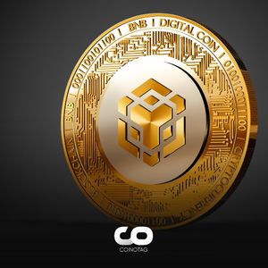 BNB Ecosystem Maintains its Strength, but the Situation Doesn’t Look Good for BNB Price