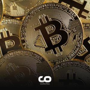 Crypto Giant Paradigm Enters the Bittrex Lawsuit Arena