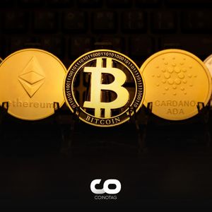What Did BIS Say About Cryptocurrencies in the World’s Top 20 Economies?
