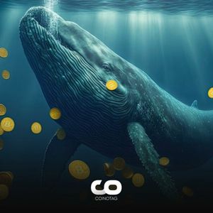 Whales Accumulate Stablecoins While Monitoring Bitcoin Price Movements