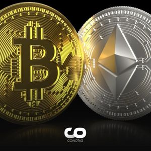 A Survey Was Made Among Giant Investors: Bitcoin or Ethereum?