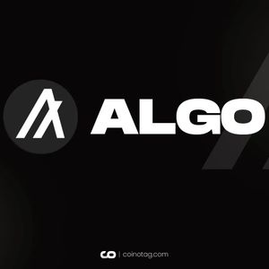 Algorand ALGO Technical Forecast: Navigating the Falling Trend Channels