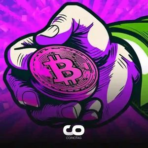 Bitcoin Addresses Accumulate a Massive Amount of BTC in the Past 6 Weeks: Interest Still Alive!