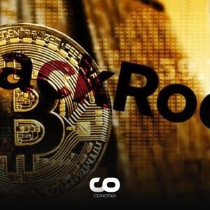 Bitcoin Will Be a Great Opportunity for Investors, According to BlackRock CEO