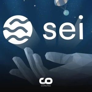 USDC’s Parent Company, Circle, Announced Its Investment in Altcoin Project Sei Network!