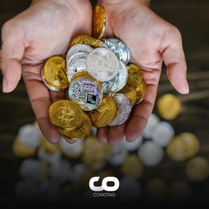 Weekly Crypto Roundup: Meme Coins Revive, Bitcoin Stabilizes, and Avalanche Surges