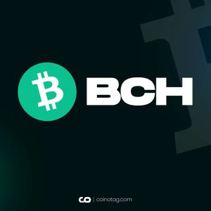 Bitcoin Cash BCH Analysis 18 NOV: Sustained Positive Trend Across All Time Horizons