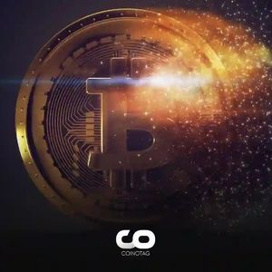 Bankrupt Crypto Exchange Mt. Gox Reveals Details for Bitcoin Repayments!