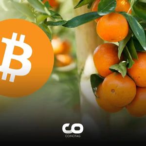 Forget Bitcoin and Stock Correlations: Bitcoin and Orange Correlation!