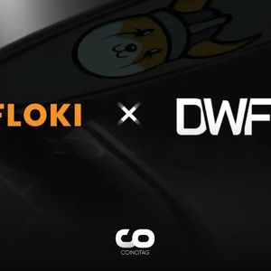 Web3 Investment Firm DWF Labs Announces Investment in FLOKI Token!