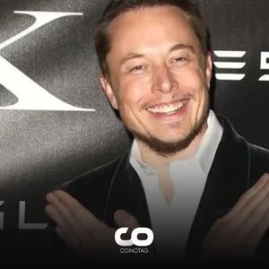 Cathie Wood and Elon Musk Discuss Bitcoin: What Did Musk Say About Crypto?