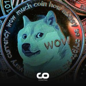 A Whale Acquires Massive Amounts of Dogecoin from Binance! Is DOGE Getting Ready for a Rally?