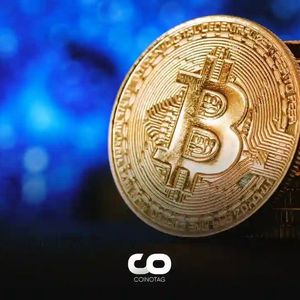 Famous Bitcoin Advocate Issues Warning Against BTC Price Rally!
