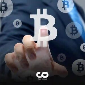 Influx of Institutional Investors into Bitcoin in the U.S.: Latest On-Chain Reports