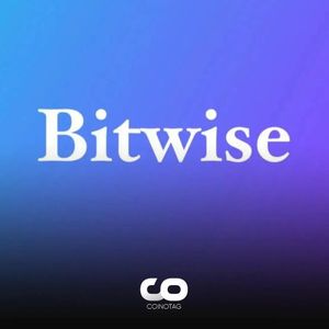 Bitwise Pioneers Transparency in US Bitcoin ETFs by Publicly Disclosing Wallet Address