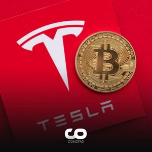 Tesla Retains Bitcoin Holdings in Q4, Unwavering in Crypto Market
