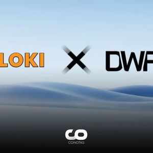DWF Labs Purchases FLOKI Tokens to Support the FLOKI Ecosystem!