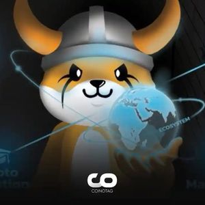 Floki Developers Plan to Burn Massive Amounts of FLOKI Tokens: Here are the Details!